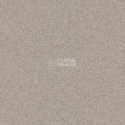 Линолеум Tarkett Primo Plus 313 фото 1 | FLOORDEALER