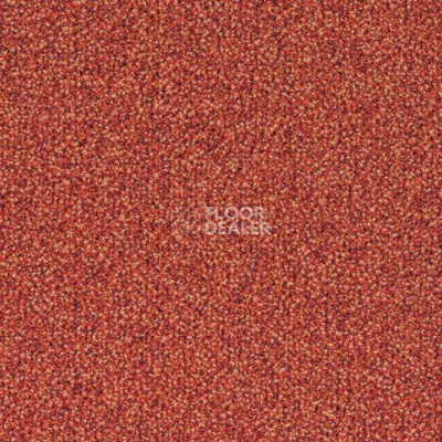 Ковровая плитка Desso Sand 5012 фото 1 | FLOORDEALER