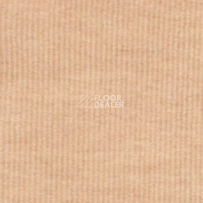 Ковролин Tapibel Nataly 35104 фото 1 | FLOORDEALER