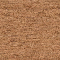 Пробковое покрытие Cork Go C8D2001   Blase фото 1 | FLOORDEALER