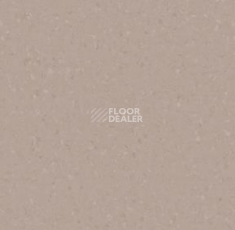 Линолеум Tarkett iq Melodia 2652 фото 1 | FLOORDEALER