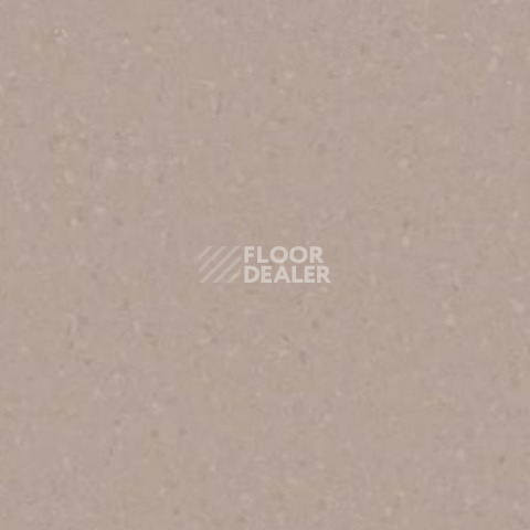 Линолеум Tarkett iq Melodia 2652 фото 1 | FLOORDEALER