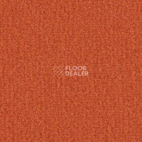 Ковролин Balsan Sydney DD 455 фото 1 | FLOORDEALER