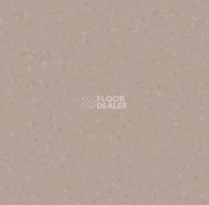 Линолеум Tarkett iq Melodia 2652 фото 1 | FLOORDEALER