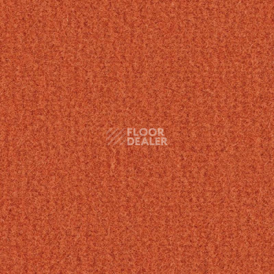 Ковролин Balsan Sydney DD 455 фото 1 | FLOORDEALER