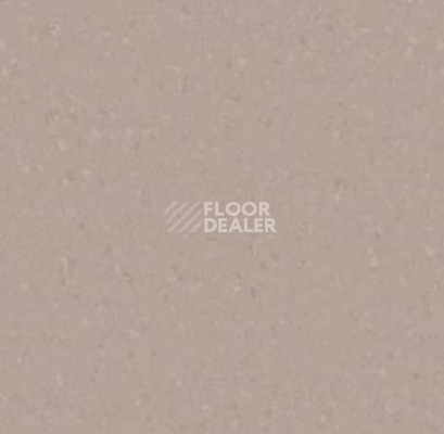 Линолеум Tarkett iq Melodia 2652 фото 1 | FLOORDEALER