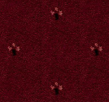 Ковролин Balta ITC Palace New 16 фото 1 | FLOORDEALER