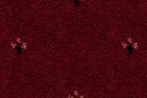 Ковролин Balta ITC Palace New 16 фото  | FLOORDEALER