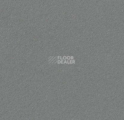 Линолеум Forbo Marmoleum Bulletin Board 2162 duck egg фото 1 | FLOORDEALER