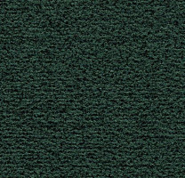 Грязезащитные покрытия Forbo Coral Classic 4768 Hunter Green фото 1 | FLOORDEALER