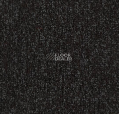 Грязезащитные покрытия Forbo Coral в плитке 4730 Raven Black фото 1 | FLOORDEALER