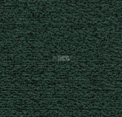 Forbo Coral Classic 4768 Hunter Green фото 1 | FLOORDEALER