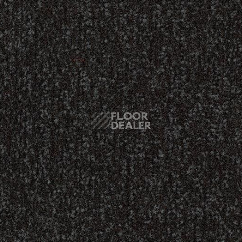Грязезащитные покрытия Forbo Coral в плитке 4730 Raven Black фото 1 | FLOORDEALER