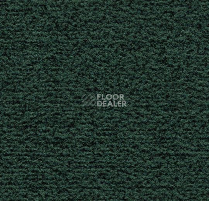 Грязезащитные покрытия Forbo Coral Classic 4768 Hunter Green фото 1 | FLOORDEALER