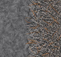 Ковролин Flotex by Starck Vortex 312003 Vortex Terracotta a2 фото 1 | FLOORDEALER