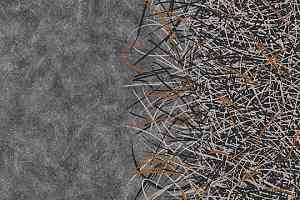 Ковролин Flotex by Starck Vortex 312003 Vortex Terracotta a2 фото  | FLOORDEALER