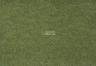 Ковролин Lano Dream 591 Moos 1 фото 1 | FLOORDEALER