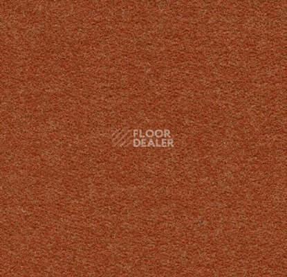 Ковролин Flotex wonderlab 07 900276 Terracotta фото 1 | FLOORDEALER
