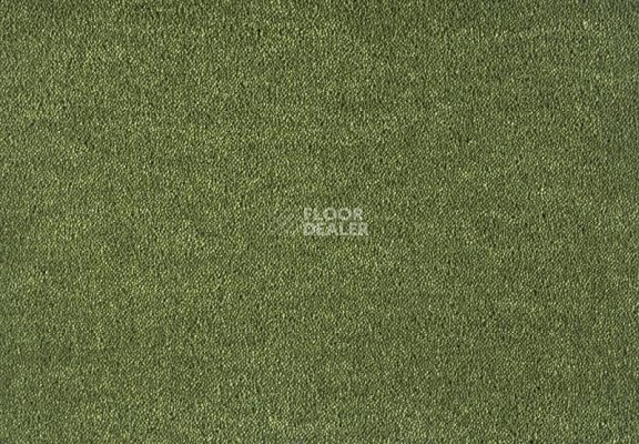 Ковролин Lano Dream 591 Moos 1 фото 1 | FLOORDEALER