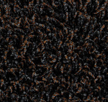 Ковролин Edel Vivaldi 148 фото 1 | FLOORDEALER