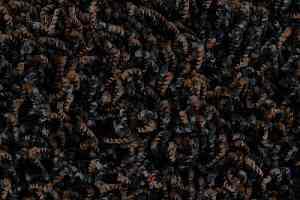 Ковролин Edel Vivaldi 148 фото  | FLOORDEALER