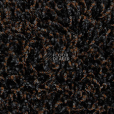 Ковролин Edel Vivaldi 148 фото 1 | FLOORDEALER