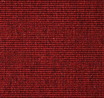 Ковролин Carpet Concept Eco Wool 595027 фото 1 | FLOORDEALER