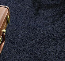 Vorwerk Exclusive1009/Elara