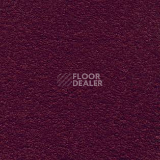 Ковролин AW Invictus Scorpius 10 фото 1 | FLOORDEALER