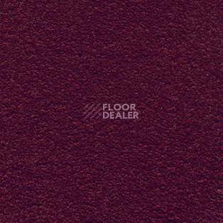 Ковролин AW Invictus Scorpius 10 фото 1 | FLOORDEALER