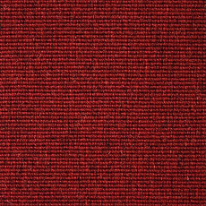 Ковролин Carpet Concept Eco Wool 595027 фото 1 | FLOORDEALER