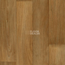 Линолеум Tarkett Acczent Timber TOBAGO 2 фото 1 | FLOORDEALER
