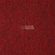 Ковролин Carpet Concept Eco Wool 595027 фото 1 | FLOORDEALER