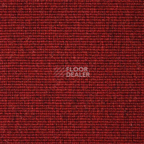 Ковролин Carpet Concept Eco Wool 595027 фото 1 | FLOORDEALER