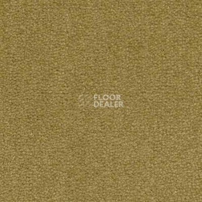 Ковролин Infloor Coronado 250 250 фото 1 | FLOORDEALER