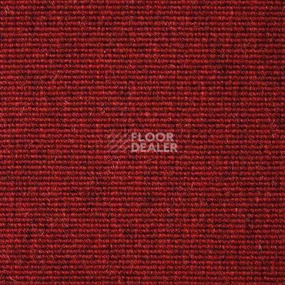 Ковролин Carpet Concept Eco Wool 595027 фото 1 | FLOORDEALER