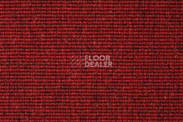 Ковролин Carpet Concept Eco Wool 595027 фото 1 | FLOORDEALER
