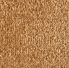 Ковролин Lano Sense Pure 338 фото 1 | FLOORDEALER