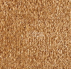 Ковролин Lano Sense Pure 338 фото 1 | FLOORDEALER
