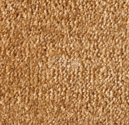 Ковролин Lano Sense Pure 338 фото 1 | FLOORDEALER