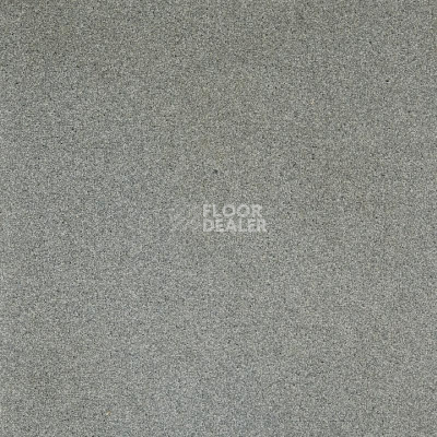 Ковролин Betap Transmit 73 фото 1 | FLOORDEALER