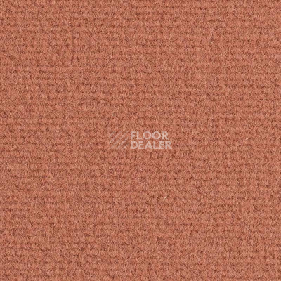 Ковролин Balsan Quick 438 фото 1 | FLOORDEALER