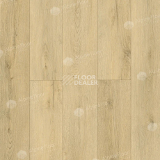 Кварцвиниловые полы Alpine Floor Eclipse Super Matt 4мм Фореста Есо 21-36 фото 1 | FLOORDEALER