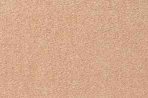 Ковролин Vorwerk Passion 1004 Vorwerk 2d89 фото  | FLOORDEALER