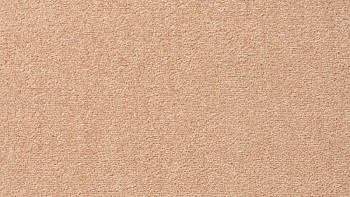 Ковролин Vorwerk Passion 1004 Vorwerk 2d89 фото 1 | FLOORDEALER