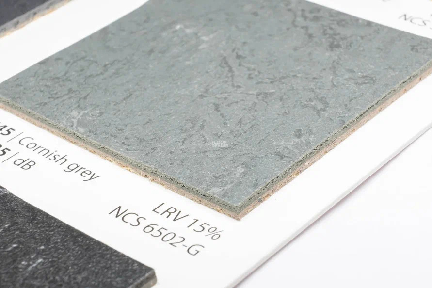 Forbo Marmoleum Solid Slate e3745-e374535 Cornish grey фото 2 | FLOORDEALER