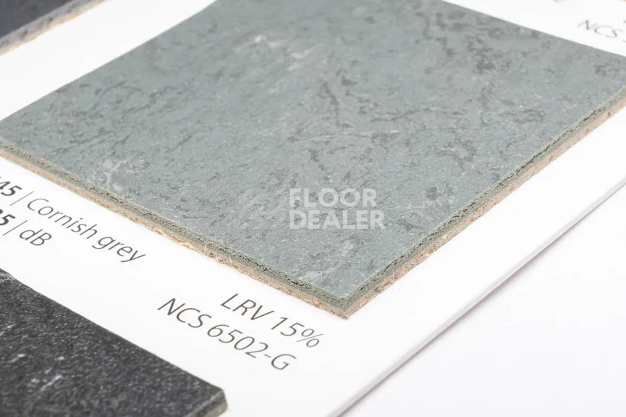 Линолеум Marmoleum Solid Slate e3745-e374535 Cornish grey фото 1 | FLOORDEALER
