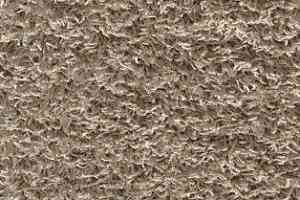 Ковролин AW Harlem 34 фото  | FLOORDEALER