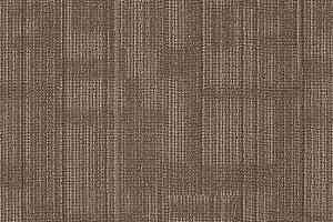 Ковровая плитка Shaw Transparent 62750 фото  | FLOORDEALER