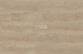 Next Acoustic дерево SILVERLEAF OAK 311 BO фото 3 | FLOORDEALER